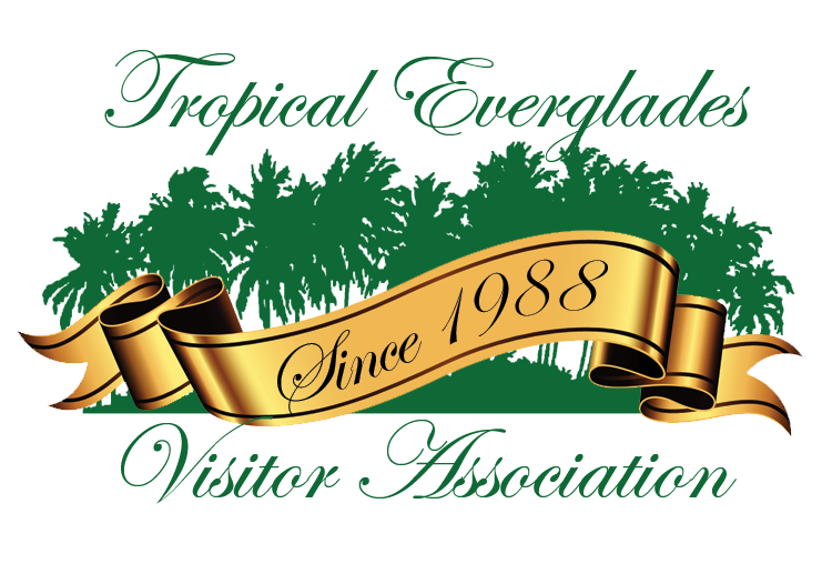 Tropical Everglades Visitor Association